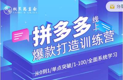 桐策电商学院-青云老师主讲-拼多多线上训练营