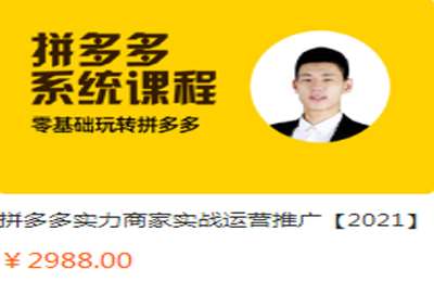 上学教育-拼多多实力商家实战运营推广价值2988元