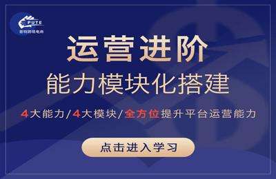 普特跨境电商-模块搭建+从入门到精通价值898元