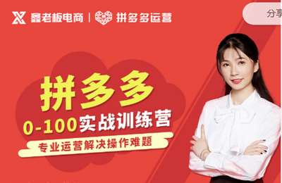 谷金学堂-鑫老板电商拼多多0-100实战训练营+拼多多运营必修课价值2999