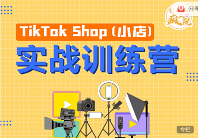 疯人院-TikTok Shop小店先疯训练营 开启2022年海外小店带货价值4999元