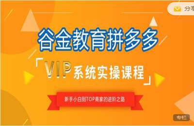 谷金（鑫老板）-拼多多VIP直播课第18期19期（完结）