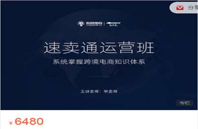 指创电商-速卖通运营 价值6480