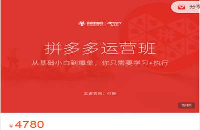 指创电商-拼多多 付琳 拼多多运营班 价值4780