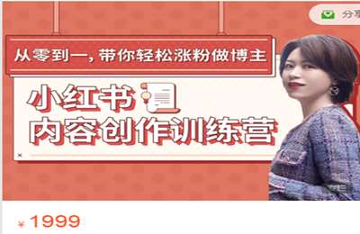 野新派-短视频个人IP陪跑营