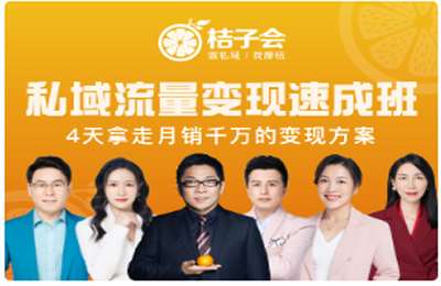桔子会-私域流量变现速成班  价值12800
