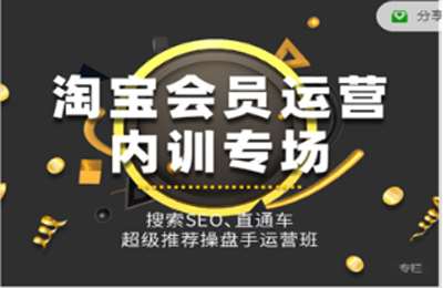抖名星商学苑-淘宝运营专栏