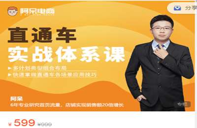阿呆电商-直通车实战体系课 价值599