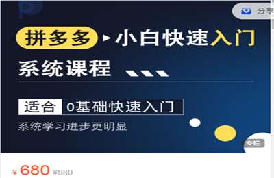 大海电商说-拼多多小白快速入门 价值680