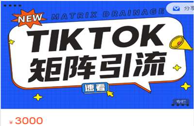 高能TK海外电商-运营精品高阶课  价值3000