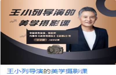 后浪电影学堂-王小列导演的美学摄影课 价值199