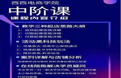 西西电商学院-拼西西中阶课（2022年10月最新课程-后续更新随缘）