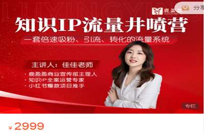 鹿盈盈-知识IP流量井喷营 价值2999