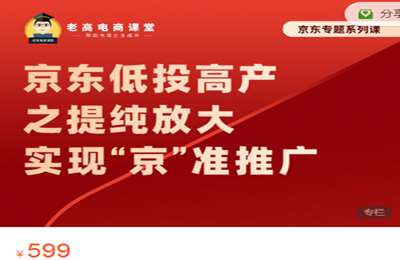 老高电商课堂-京东低投高产之提纯放大实现京准推广 价值599