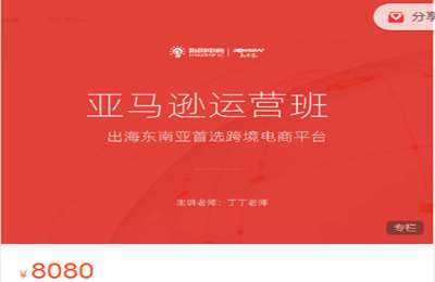 指创电商-丁丁老师 亚马逊高级运营班 价值8080
