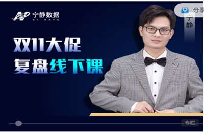 宁静数据-双11大促复盘线下课双11大促复盘线下课