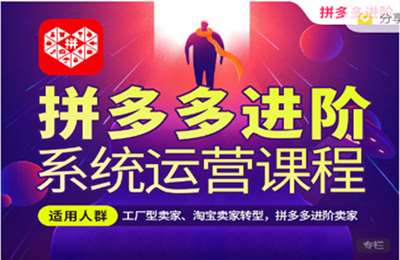 叮咚有课-言若非:拼多多最新进阶系统运营课程 价值999