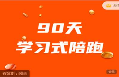桐策电商-淘系卖家-数据运营-90天学习式陪跑