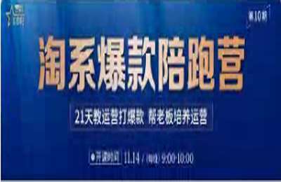 贾真电商-陪跑营10期