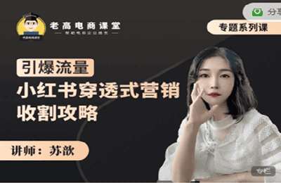 老高电商课堂-苏歆：引爆流量，小红书穿透式营销收割攻略