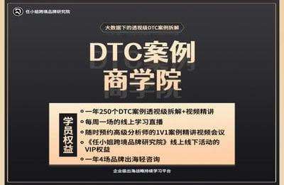 任小姐跨境研究院-用案例学习，启迪跨境品牌战略思维-20231006更新