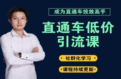 大王真电商-直通车低价引流课-持续更新