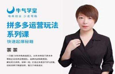 牛气学堂-拼多多运营玩法系列课—-快速起爆秘籍