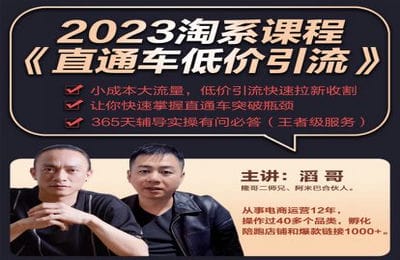电商掌柜杨茂隆-2023直通车低价引流玩法课程