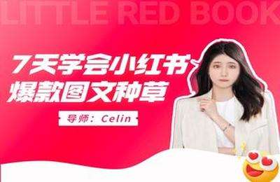 那木研习社-七天学会爆款图文