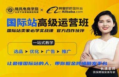 飓风跨境-阿里巴巴国际站高级运营-20230728更新