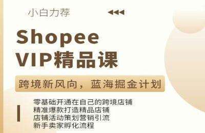 实时直播学院-Shopee VIP精品课程