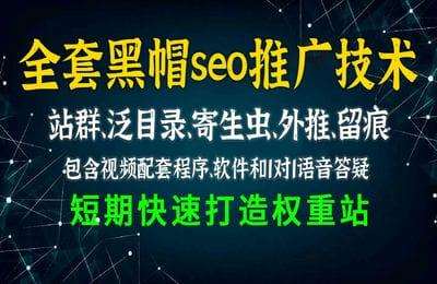 汇赚商学院-2022+2023版黑帽seo培训泛目录程序站群优化关键词快速排名