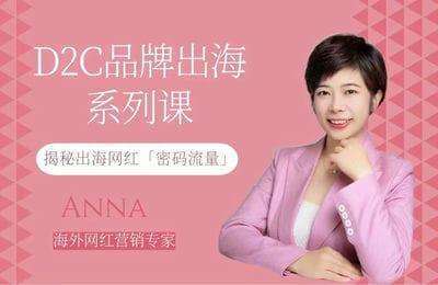 Anna的网红营销-揭秘D2C品牌出海网红「流量密码」