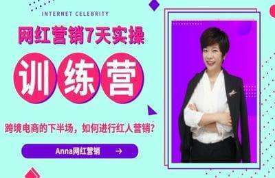 Anna的网红营销-网红营销7天实操训练营线上答疑