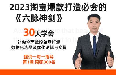 合哥-2023淘宝爆款打造训练营 六脉神剑第01期