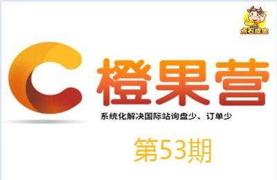 点石成金商学院-第53期：国际站在线特训营