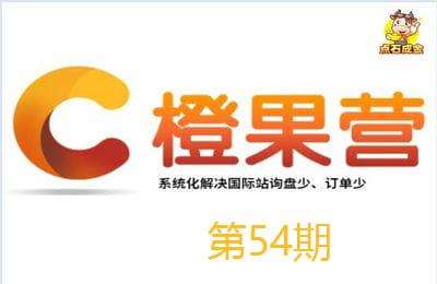 点石成金商学院-第54期：国际站在线特训营