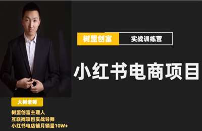 树盟创富-2023小红书无货源电商，从开店选品到运营变现全套课程