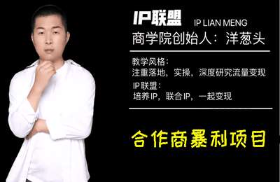 IP联盟-合作商暴利项目