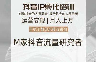 向阳老师-M家：抖音孵化IP密训营