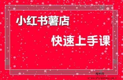 君哥实战-小红书薯店快速上手