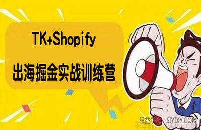 跨境私域流量集训营-TK+Shopify 出海掘金实战训练营