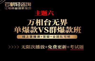 云鹤俱乐部-主题06：万相台无界单爆款VS群爆款班