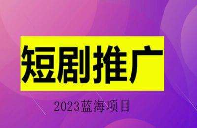 向斌短剧-风口已至，短剧推广项目