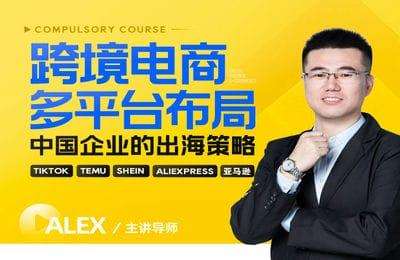 玺承云学堂-跨境电商多平台布局-中国企业的出海策略线上课