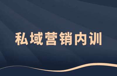 刘Sir商业-视频号IP变现训练营+私域内训