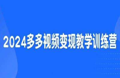 LS坚持不懈-2024多多视频变现教学训练营