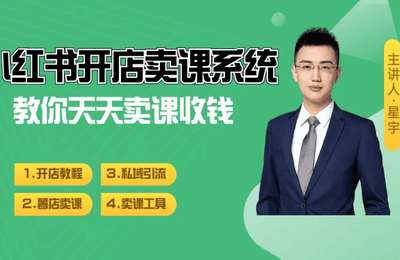 北极星-星宇年度做课+卖课高手陪跑营