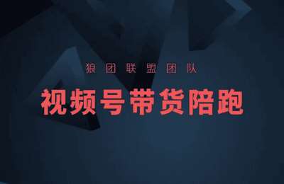 狼团联盟-2024视频号第四期训练营
