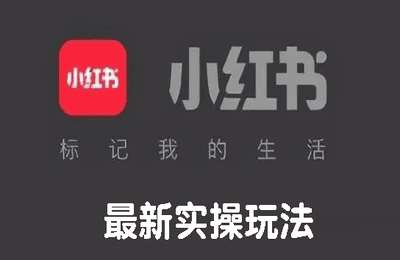 紫金传媒-小红书最新实操玩法